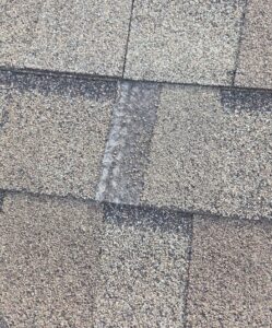 Florida heat roof damage on sun-aged asphalt shingles